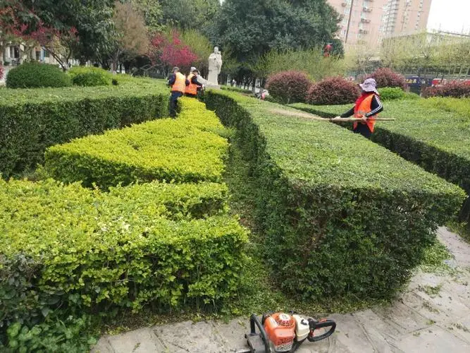 专访校园园林管理者：如何利用多样植物打造独特景观？