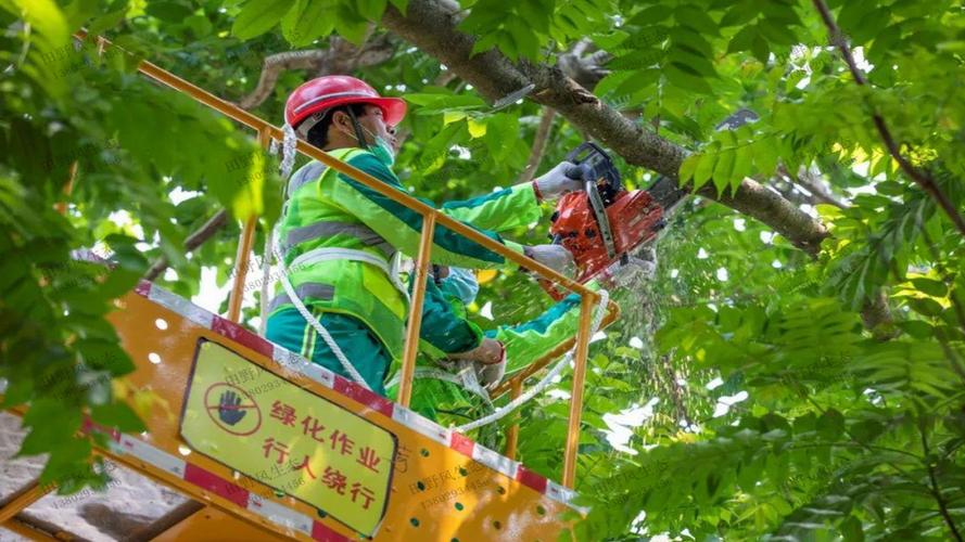 住建局绿化工程巡察报告